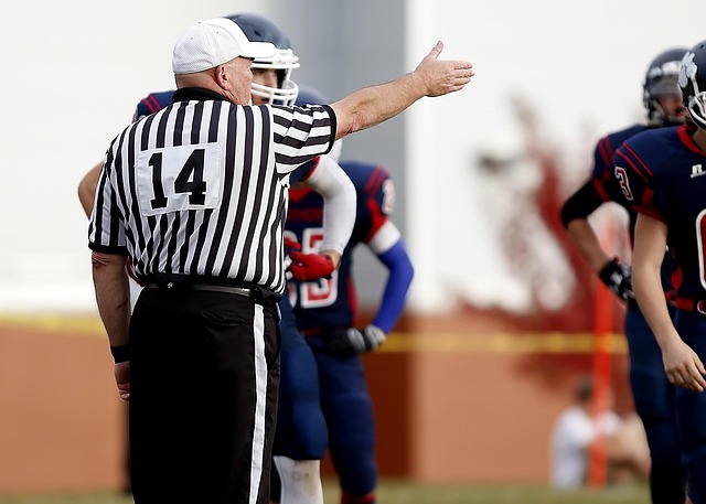 referee-1465544_640